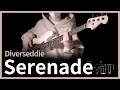 558. Diverseddie - Serenade 【★★☆☆☆】 (Bass Cover) | 베이스 악보[TAB]