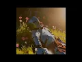 Knight Lying Between Flowers Meme Template Download Link In Comments