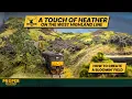 Download Lagu From Green to Glorious – Creating a Heather-Covered Hillside