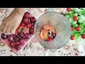 Refreshing Plum Juice Recipe | Aloo Bukhara Sharbat | Plum Smoothie | Plum Milkshake Recipe