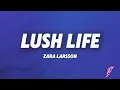 Download Lagu Zara Larsson - Lush Life (Lyrics)
