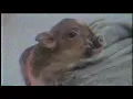 Download Lagu Ariana Grande - breathin