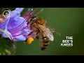 Nikon MC 105mm 2 8 VR S OMG The First Three Weeks With RAW Files Matt Irwin