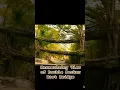 Download Lagu Exploring Meghalaya's Iconic Double Decker Root Bridge