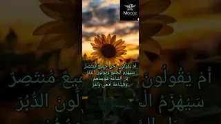 من سورة القمر يتلوا علينا فضيلة الشيخ السيد سعيد 