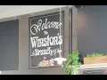 Special Addition Sea Otter Breakfast Winston s