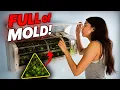 Fujitsu Ductless Mini Split FULL of Mold Deep Cleaning Step-by-Step by Local Contractor Pipe Doctor