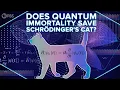 Download Lagu Does Quantum Immortality Save Schrödinger's Cat?