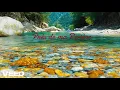 Download Lagu Près de ma Rivière | Dakino Laurier | Robert Cogoi | ESC 1964 Belgium Cover