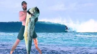 We Sailed to a DREAM Surf Wave!!