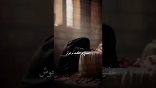 عفتيني بوكت موخوش تكتل فركتج يمه اكسبلور اكسبلورفولو لايك 