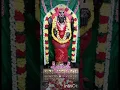 Lagu Mayiladuthurai Thirumangalam Arulmigu Boologa Naathar Kovil Boologa Naayagi Amman Arul Dharisanam🙏🙏🙏