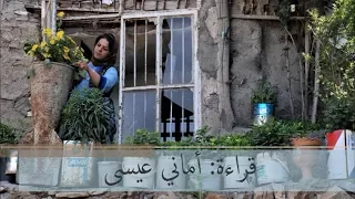                                                           دندنها