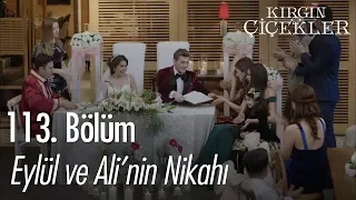 ali ve eyl l n nikah k rg n i ekler 113 b l m final