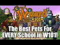 The BEST Pets For Every School in Wizard101