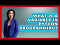 What Is A Variable In Python Programming - Python Code School