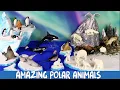 Meet the Amazing Polar Animals Build a Diorama of the Arctic Antarctic