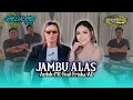 Download Lagu JAMBU ALAS - ANTOK MC FEAT. FRISKA AD // LIVE CHELIA PRO MUSIK