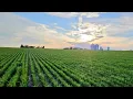 North Farm Update
