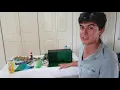 Making a Diorama of the Rainforest