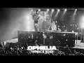 The Lumineers - Ophelia (TWINSICK Remix)