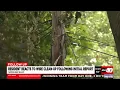 Resident reacts to wire clean-up following initial report