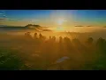 Sunrise: Peaceful Relaxing Music with Piano, Flute, Violin, Guitar & Birds Chirping