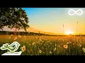 Download Lagu Sunrise: Peaceful Relaxing Music with Piano, Flute, Violin, Guitar \u0026 Birds Chirping