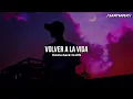 Ali Gatie - Crazy In Love (Sub Español + Lyrics)