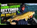 GARMIN LIVESCOPE SETTINGS That Help Me Catch BIG WALLEYE