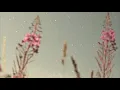 Download Lagu Jackie Xan-To The Girl With Red Converse