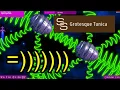 Download Lagu Mission Double Team 18: Grotesque Tunica (Superstar Hero) | Chicken Invaders Universe v136.5 Download Lagu Mission Double Team 18: Grotesque Tunica (Superstar Hero) | Chicken Invaders Universe v136.5