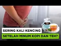 Download Lagu Sering kencing setelah minum kopi dan teh? Ini alasannya ...