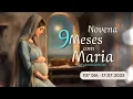 Download Lagu 115º DIA - 17 DE JULHO | NOVE MESES COM MARIA 2025 - NOVENA DA ANUNCIAÇÃO AO NASCIMENTO DE JESUS