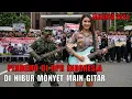 Download Lagu Viral Monyet Main Gitar Di Tengah Tengah Pendemo di Gedung DPR Indonesia | Berita Demo Terbaru 2025