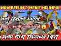Download Lagu Suara Pikat Trucukan Ribut Kombinasi Burcil  Paling Ampuh‼️Baru Hitungan Menit Sudah Dapat