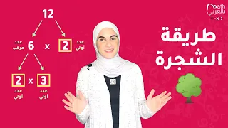 التحليل إلى العوامل الأولية باستخدام طريقة الشجرة Prime Factorization Tree 