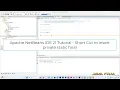 Apache NetBeans IDE 21 Tutorial - Short Cut to insert private static final