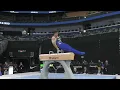 Brody Malone - Pommel Horse