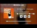 Emotional Oranges - Sundays