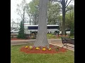 MLK Memorial