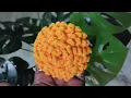 Download Lagu crochet marigold flower in easy way/क्रोशिया गेंदाफूल/crochet marigold/crochet craft/woollen craft