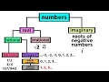 What are the Types of Numbers Real vs Imaginary Rational vs Irrational