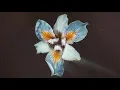 Tor - City 66 (Official Audio)