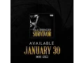 Download Lagu Survivor by \
