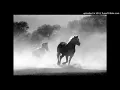 Download Lagu Sara Zamana Hasino Ka Deewana