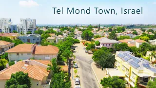          شهری در اسرائیل دندنها