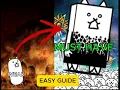 STOP Using Normal Cats Get Crazed Cats FAST Guide