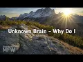 Download Lagu Unknown Brain - Why Do I (ft. Bri Tolani)