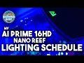 My AI Prime 16 Nano Reef Tank Lighting Schedule